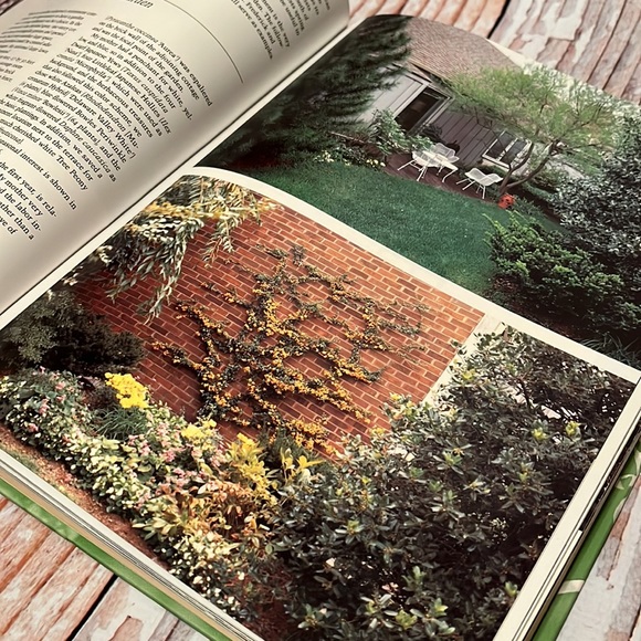 The Exuberant Garden and the Controlling Hand - Picture 11 of 16